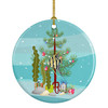 Angelfish Merry Christmas Ceramic Ornament product image at NuMercy