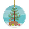 Chausie Cat Christmas Ceramic Ornament CK4584 product image at NuMercy