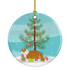 Exotic Shorthair Cat Christmas Ceramic Ornament CK4620 product image at NuMercy