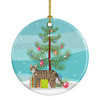 Dragon Li Cat Christmas Ceramic Ornament CK4608 product image at NuMercy