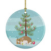 Turkish Hamster Merry Christmas Ceramic Ornament product image at NuMercy