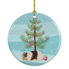 Teddy Guinea Pig Merry Christmas Ceramic Ornament product image at NuMercy