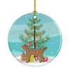 Highlander Lynx Cat Christmas Ceramic Ornament CK4630 product image at NuMercy