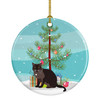 European Burmese Cat Christmas Ceramic Ornament CK4767 product image at NuMercy