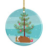 Crested Guinea Pig Merry Christmas Ceramic Ornament product image at NuMercy