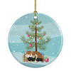 European Hamster Merry Christmas Ceramic Ornament product image at NuMercy