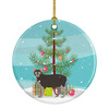 Lykoi Cat Merry Christmas Ceramic Ornament CK4645 product image at NuMercy