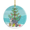 California Spangled Cat Christmas Ceramic Ornament CK4578 product image at NuMercy