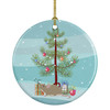 Grey Domestic Mouse Merry Christmas Ceramic Ornament product image at NuMercy
