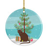 Raas Cat Christmas Ceramic Ornament CK4786 product image at NuMercy