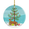 Cheetoh Cat Christmas Ceramic Ornament CK4586 product image at NuMercy