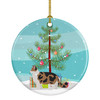 Ragamuffin Cat Christmas Ceramic Ornament CK4691 product image at NuMercy