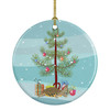Pond Slider Turtle Merry Christmas Ceramic Ornament product image at NuMercy