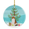 Aegean Cat Christmas Ceramic Ornament CK4740 product image at NuMercy