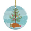 Peruvian Guinea Pig Merry Christmas Ceramic Ornament product image at NuMercy