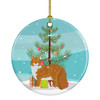 Maine Coon Cat Christmas Ceramic Ornament CK4648 product image at NuMercy