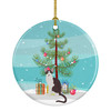 Oriental Bicolor Cat Christmas Ceramic Ornament CK4782 product image at NuMercy