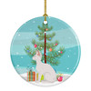 Sphynx Cat Christmas Ceramic Ornament CK4802 product image at NuMercy