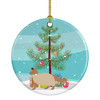Ragdoll Cat Christmas Ceramic Ornament CK4693 product image at NuMercy