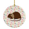 Coypu Nutria River Rat Christmas Ceramic Ornament product image at NuMercy