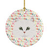 Chinchilla Persian Longhair Cat Christmas Ceramic Ornament WDK2320 product image at NuMercy