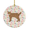 Highlander Lynx #3 Cat Christmas Ceramic Ornament product image at NuMercy