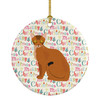Abyssinian Cat Christmas Ceramic Ornament WDK2396 product image at NuMercy