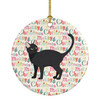 Malayan #2 Cat Christmas Ceramic Ornament product image at NuMercy