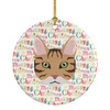 California Spangled Cat Christmas Ceramic Ornament WDK2315 product image at NuMercy