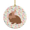 Lionhead Rabbit Christmas Ceramic Ornament product image at NuMercy