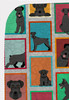 Lots of Black Schnauzer Artwork Pattern Quilted Throw Blanket 50" x 60" product image at NuMercy 5