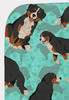 Bernese Mountain Dog Artwork Pattern Quilted Throw Blanket 50" x 60" product image at NuMercy 5