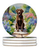 Chesapeake Bay Retriever Spring Path Large Sandstone Absorbent Round Coasters Pack of 4 product image at NuMercy
