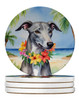 Greyhound Luau Large Sandstone Absorbent Round Coasters Pack of 4 DAC6450 product image at NuMercy