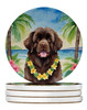 Newfoundland Luau Large Sandstone Absorbent Round Coasters Pack of 4 DAC6478 product image at NuMercy