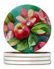 Arkansas Apple Blossom in Watercolor Large Sandstone Absorbent Round Coasters Pack of 4 DAC1628 product image at NuMercy