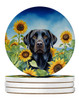 Labrador Retriever in Sunflowers Large Sandstone Absorbent Round Coasters Pack of 4 DAC6109 product image at NuMercy