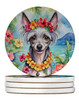 Chinese Crested Luau Large Sandstone Absorbent Round Coasters Pack of 4 product image at NuMercy