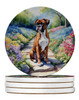 Boxer Spring Path Large Sandstone Absorbent Round Coasters Pack of 4 DAC6582 product image at NuMercy