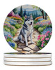 Siberian Husky Spring Path Large Sandstone Absorbent Round Coasters Pack of 4 DAC6718 product image at NuMercy