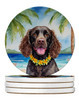 American Water Spaniel Luau Large Sandstone Absorbent Round Coasters Pack of 4 product image at NuMercy