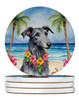 Scottish Deerhound Luau Large Sandstone Absorbent Round Coasters Pack of 4 product image at NuMercy