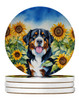 Bernese Mountain Dog in Sunflowers Large Sandstone Absorbent Round Coasters Pack of 4 product image at NuMercy