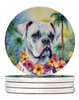 White Boxer Luau Large Sandstone Absorbent Round Coasters Pack of 4 DAC6387 product image at NuMercy
