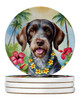 German Wirehaired Pointer Luau Large Sandstone Absorbent Round Coasters Pack of 4 product image at 