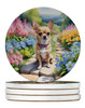 Chihuahua Spring Path Large Sandstone Absorbent Round Coasters Pack of 4 DAC6596 product image at 