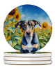 Catahoula in Sunflowers Large Sandstone Absorbent Round Coasters Pack of 4 product image at NuMercy