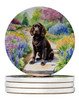 Boykin Spaniel Spring Path Large Sandstone Absorbent Round Coasters Pack of 4 product image at NuMercy