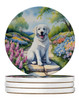 Kuvasz Spring Path Large Sandstone Absorbent Round Coasters Pack of 4 product image at NuMercy