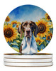 Pointer in Sunflowers Large Sandstone Absorbent Round Coasters Pack of 4 product image at NuMercy